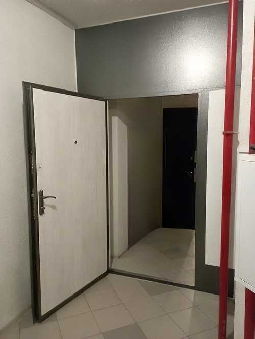 Тамбурная металлическая дверь